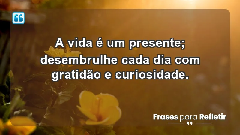 - A vida é um presente; desembrulhe cada dia com gratidão e curiosidade.