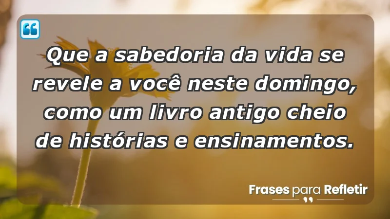 - Que a sabedoria da vida se revele a você neste domingo, como um livro antigo cheio de histórias e ensinamentos.