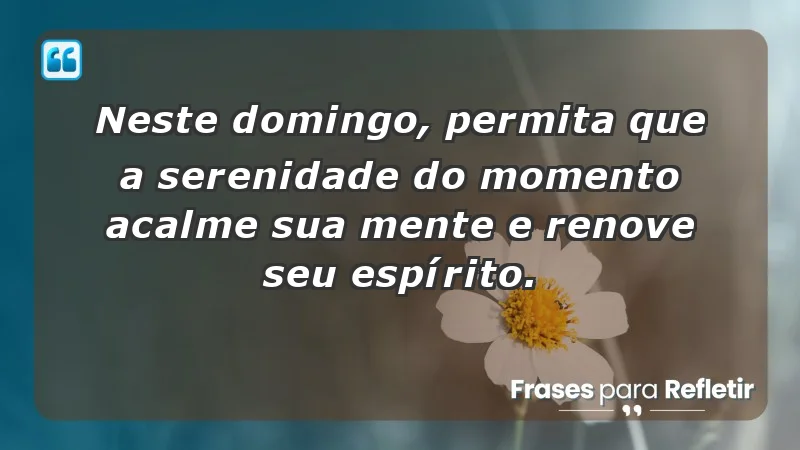 - Neste domingo, permita que a serenidade do momento acalme sua mente e renove seu espírito.