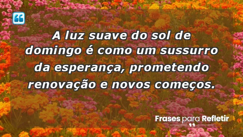 - A luz suave do sol de domingo é como um sussurro da esperança, prometendo renovação e novos começos.