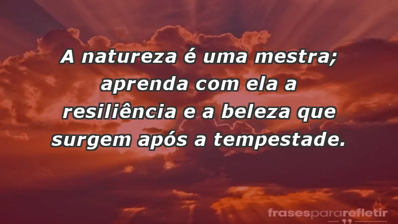 - A natureza é uma mestra; aprenda com ela a resiliência e a beleza que surgem após a tempestade.