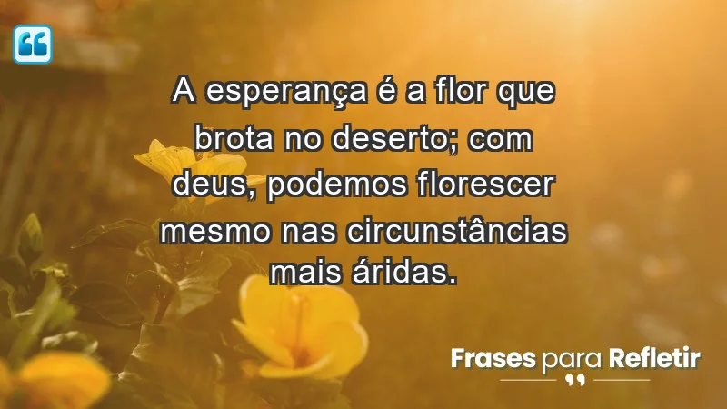 - A esperança é a flor que brota no deserto; com Deus, podemos florescer mesmo nas circunstâncias mais áridas.