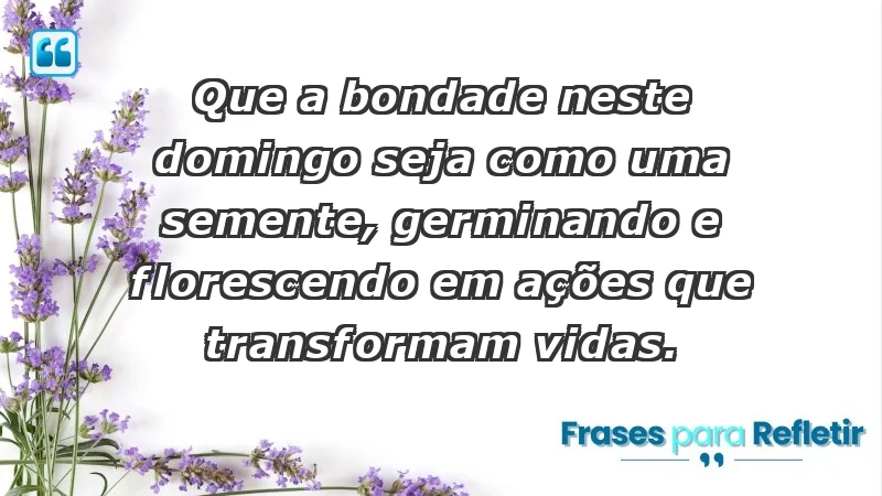 - Que a bondade neste domingo seja como uma semente, germinando e florescendo em ações que transformam vidas.