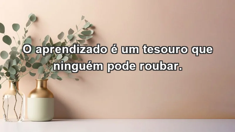 - O aprendizado é um tesouro que ninguém pode roubar.