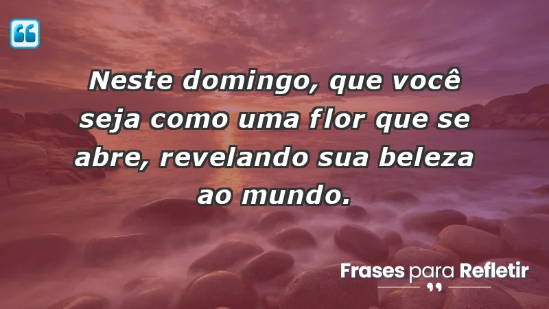 - Neste domingo, que você seja como uma flor que se abre, revelando sua beleza ao mundo.