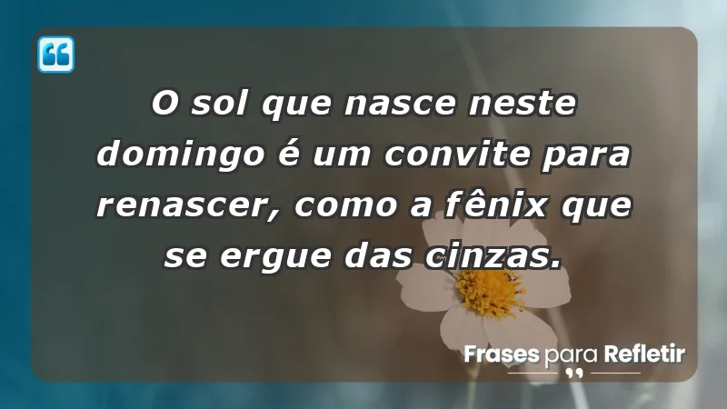 - O sol que nasce neste domingo é um convite para renascer, como a fênix que se ergue das cinzas.