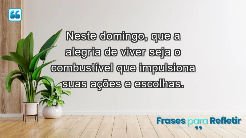 - Neste domingo, que a alegria de viver seja o combustível que impulsiona suas ações e escolhas.