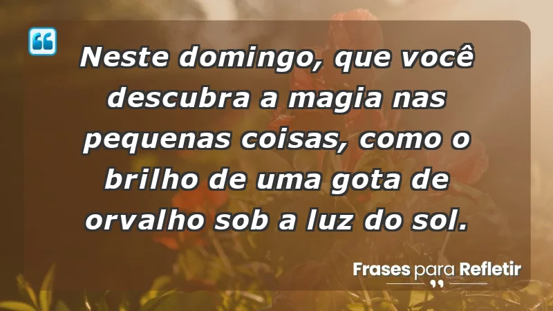 - Neste domingo, que você descubra a magia nas pequenas coisas, como o brilho de uma gota de orvalho sob a luz do sol.