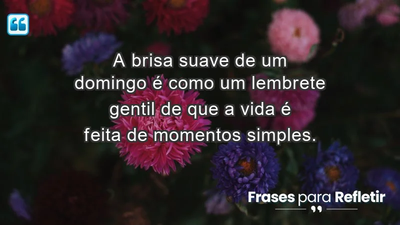 - A brisa suave de um domingo é como um lembrete gentil de que a vida é feita de momentos simples.