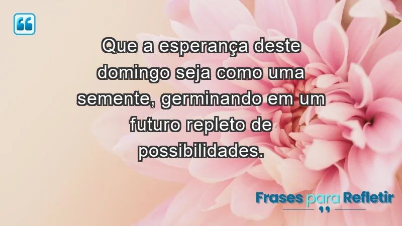 - Que a esperança deste domingo seja como uma semente, germinando em um futuro repleto de possibilidades.