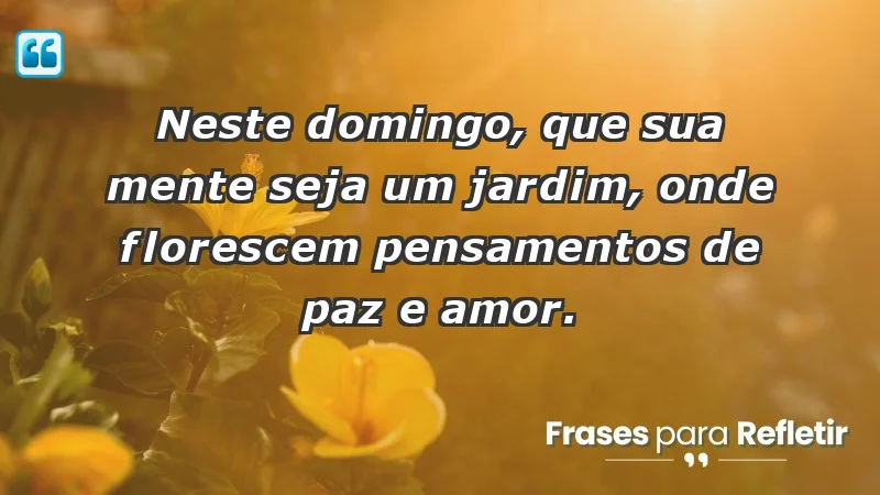 - Neste domingo, que sua mente seja um jardim, onde florescem pensamentos de paz e amor.