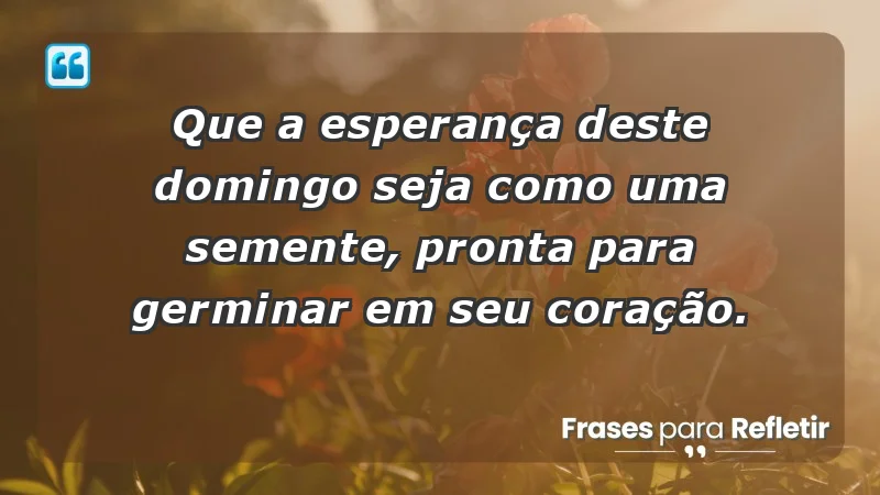 - Que a esperança deste domingo seja como uma semente, pronta para germinar em seu coração.