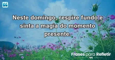 Neste domingo, respire fundo e sinta a magia do momento presente.