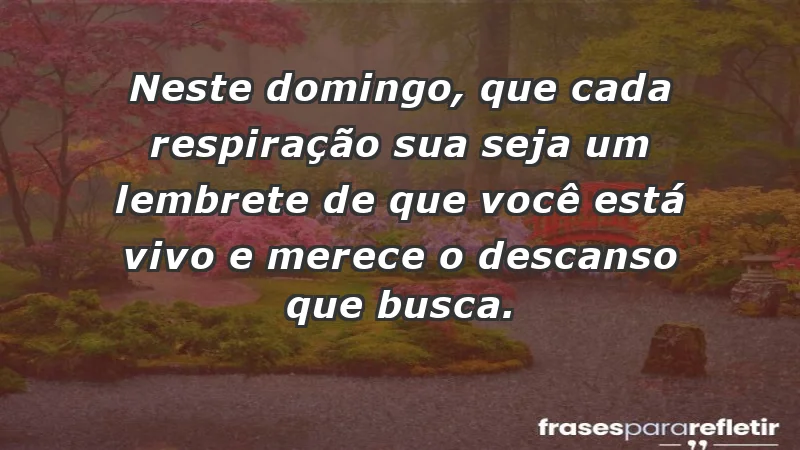 - Neste domingo, que cada respiração sua seja um lembrete de que você está vivo e merece o descanso que busca.