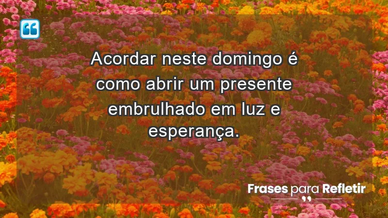 - Acordar neste domingo é como abrir um presente embrulhado em luz e esperança.