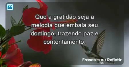 Que a gratidão seja a melodia que embala seu domingo, trazendo paz e contentamento.