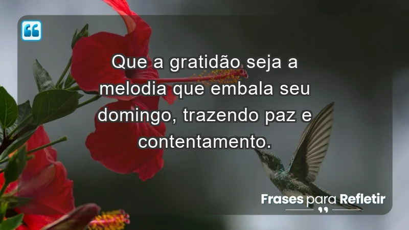 - Que a gratidão seja a melodia que embala seu domingo, trazendo paz e contentamento.