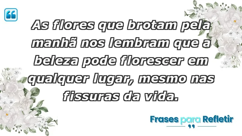 - As flores que brotam pela manhã nos lembram que a beleza pode florescer em qualquer lugar, mesmo nas fissuras da vida.