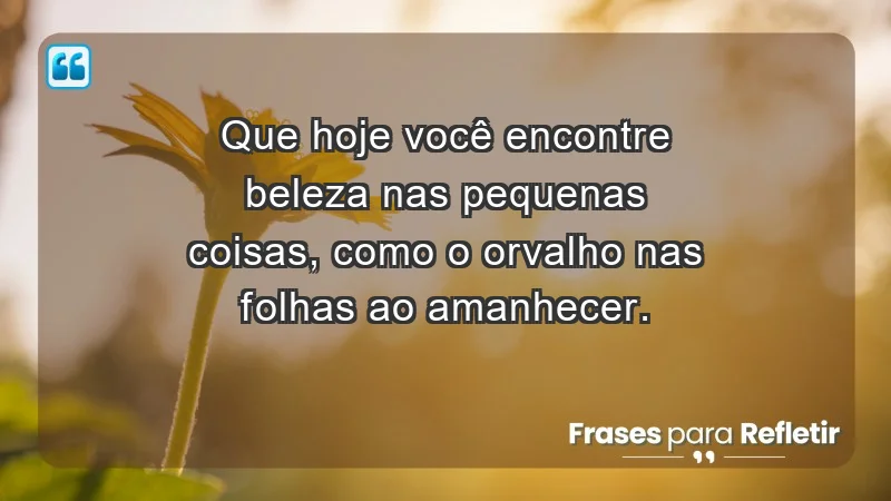 - Que hoje você encontre beleza nas pequenas coisas, como o orvalho nas folhas ao amanhecer.