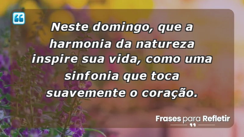 - Neste domingo, que a harmonia da natureza inspire sua vida, como uma sinfonia que toca suavemente o coração.