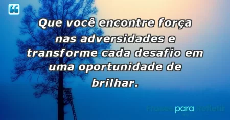 Que você encontre força nas adversidades e transforme cada desafio em uma oportunidade de brilhar.