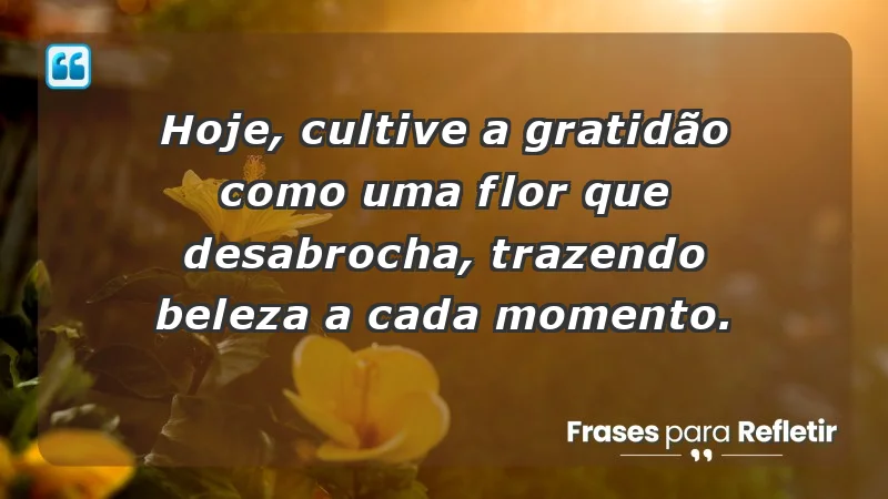 - Hoje, cultive a gratidão como uma flor que desabrocha, trazendo beleza a cada momento.