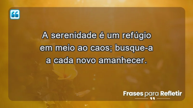 - A serenidade é um refúgio em meio ao caos; busque-a a cada novo amanhecer.