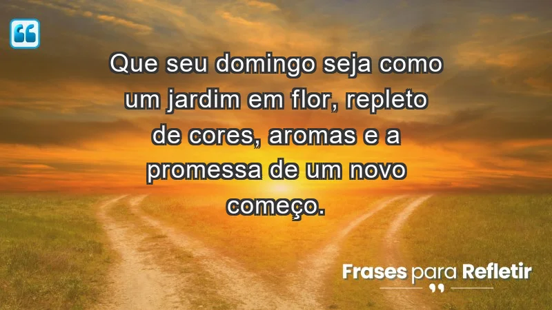 - Que seu domingo seja como um jardim em flor, repleto de cores, aromas e a promessa de um novo começo.