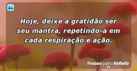 Hoje, deixe a gratidão ser seu mantra, repetindo-a em cada respiração e ação.