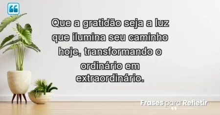 Que a gratidão seja a luz que ilumina seu caminho hoje, transformando o ordinário em extraordinário.