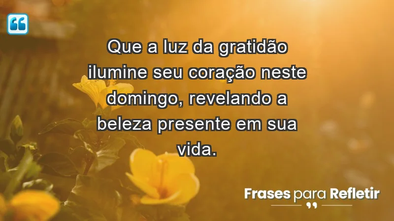 - Que a luz da gratidão ilumine seu coração neste domingo, revelando a beleza presente em sua vida.