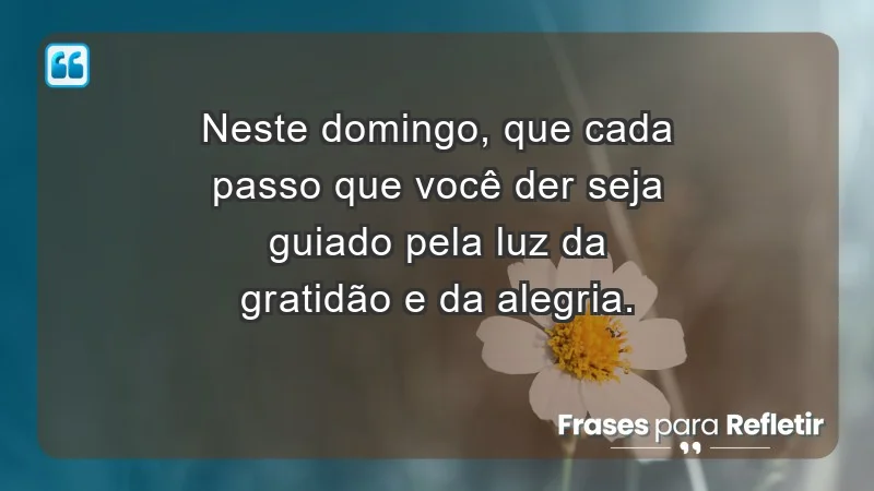 - Neste domingo, que cada passo que você der seja guiado pela luz da gratidão e da alegria.