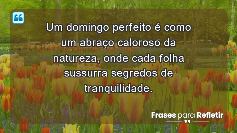 - Um domingo perfeito é como um abraço caloroso da natureza, onde cada folha sussurra segredos de tranquilidade.