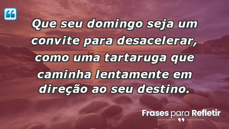 - Que seu domingo seja um convite para desacelerar, como uma tartaruga que caminha lentamente em direção ao seu destino.