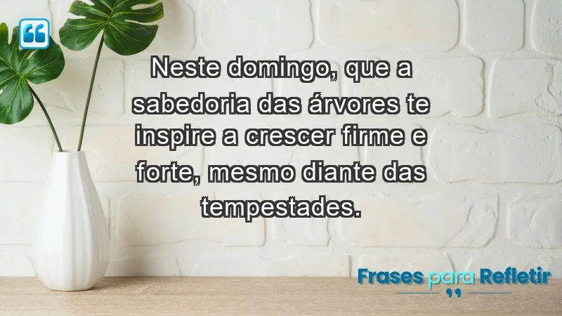 - Neste domingo, que a sabedoria das árvores te inspire a crescer firme e forte, mesmo diante das tempestades.