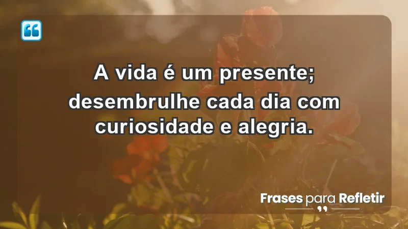 - A vida é um presente; desembrulhe cada dia com curiosidade e alegria.