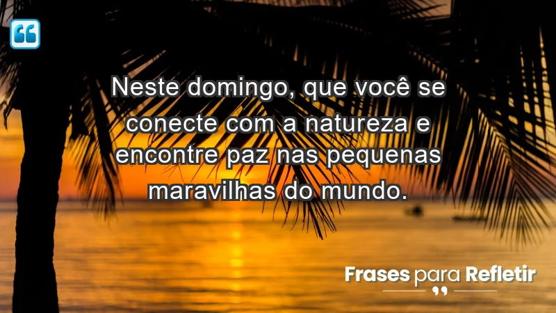 - Neste domingo, que você se conecte com a natureza e encontre paz nas pequenas maravilhas do mundo.