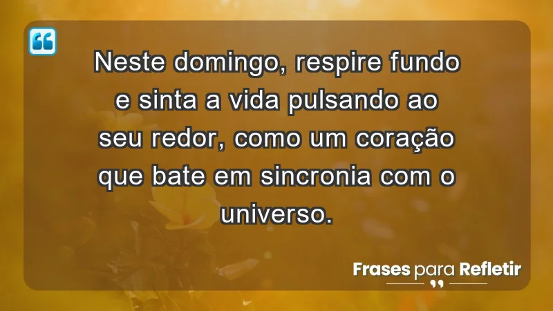 - Neste domingo, respire fundo e sinta a vida pulsando ao seu redor, como um coração que bate em sincronia com o universo.