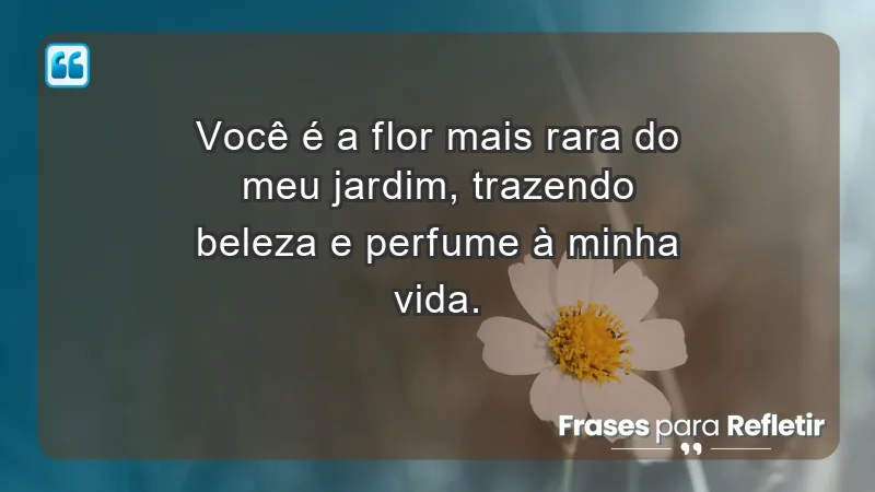 - Você é a flor mais rara do meu jardim, trazendo beleza e perfume à minha vida.