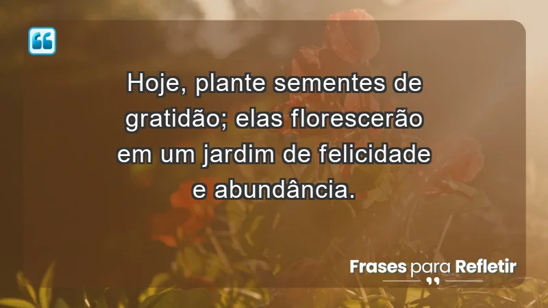 - Hoje, plante sementes de gratidão; elas florescerão em um jardim de felicidade e abundância.