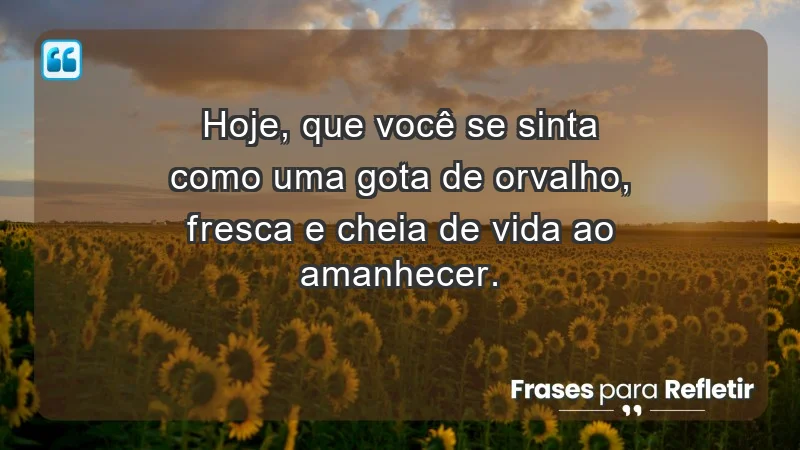 - Hoje, que você se sinta como uma gota de orvalho, fresca e cheia de vida ao amanhecer.