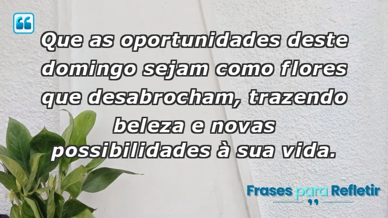 - Que as oportunidades deste domingo sejam como flores que desabrocham, trazendo beleza e novas possibilidades à sua vida.