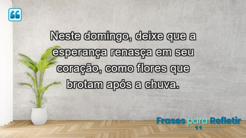 - Neste domingo, deixe que a esperança renasça em seu coração, como flores que brotam após a chuva.