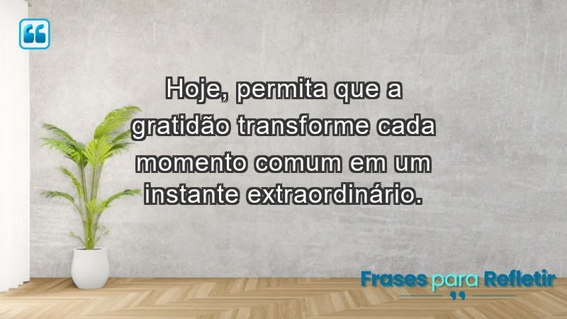 - Hoje, permita que a gratidão transforme cada momento comum em um instante extraordinário.