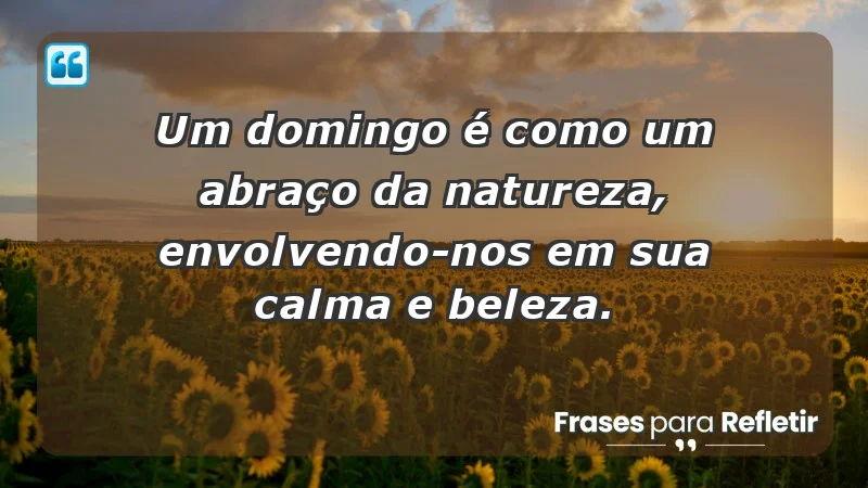 - Um domingo é como um abraço da natureza, envolvendo-nos em sua calma e beleza.