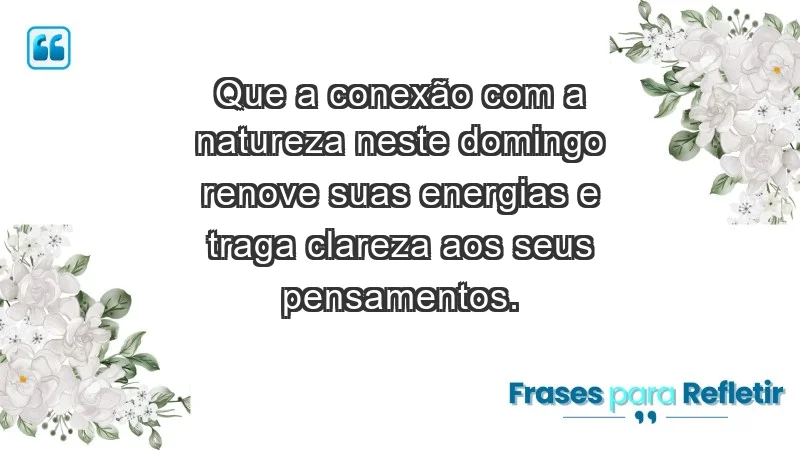 - Que a conexão com a natureza neste domingo renove suas energias e traga clareza aos seus pensamentos.