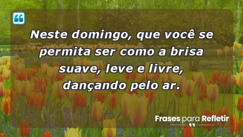 - Neste domingo, que você se permita ser como a brisa suave, leve e livre, dançando pelo ar.