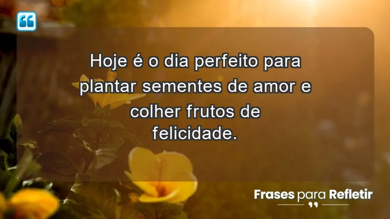 Hoje é o dia perfeito para plantar sementes de amor e colher frutos de felicidade.