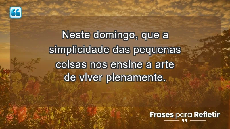 - Neste domingo, que a simplicidade das pequenas coisas nos ensine a arte de viver plenamente.