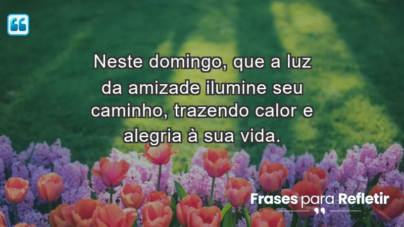 - Neste domingo, que a luz da amizade ilumine seu caminho, trazendo calor e alegria à sua vida.